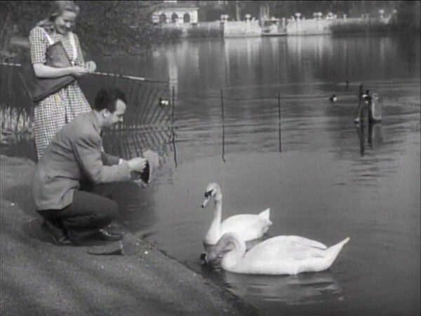 The Long Water, Kensington Gardens